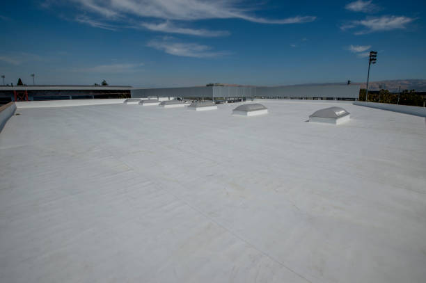 Best Rubber Roofing (EPDM, TPO)  in Davie, FL