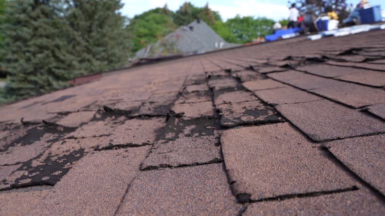 Davie, FL Roofing Services Company