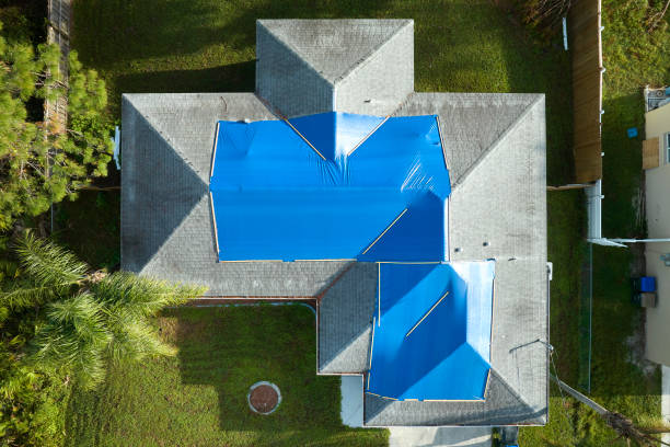 Best Roof Maintenance and Cleaning  in Davie, FL