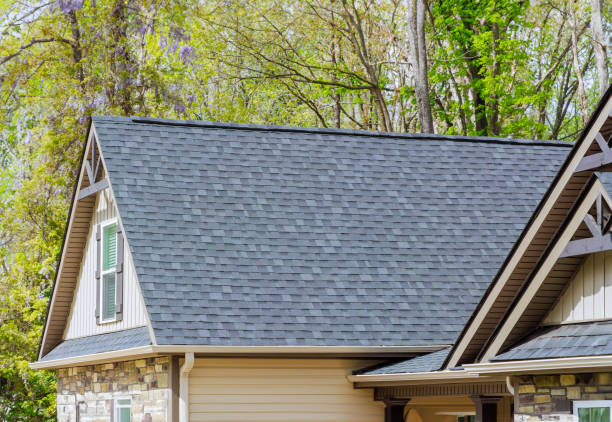 Best Roof Ventilation Installation  in Davie, FL