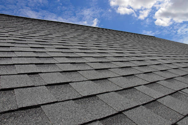 Best Wood Shake Roofing  in Davie, FL